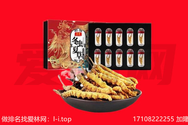 宝鸡市陇县回收虫草.jpg